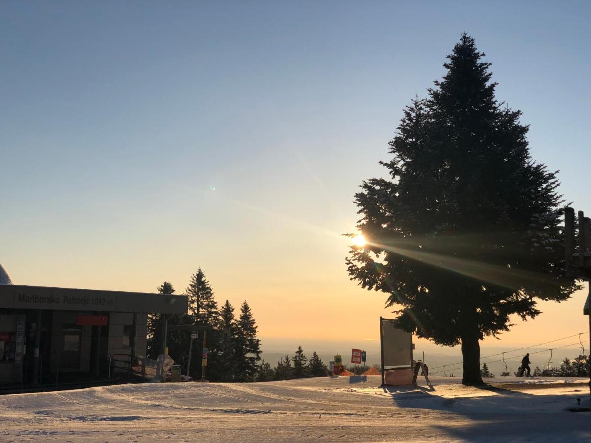 Chalet Anra Pohorje Zgornje Hoce Exterior foto