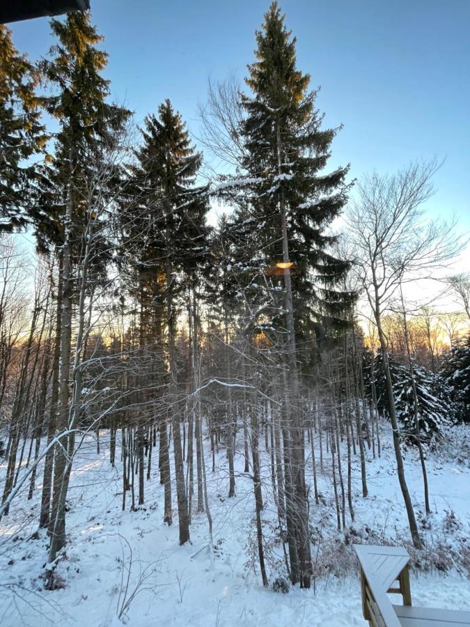 Chalet Anra Pohorje Zgornje Hoce Exterior foto