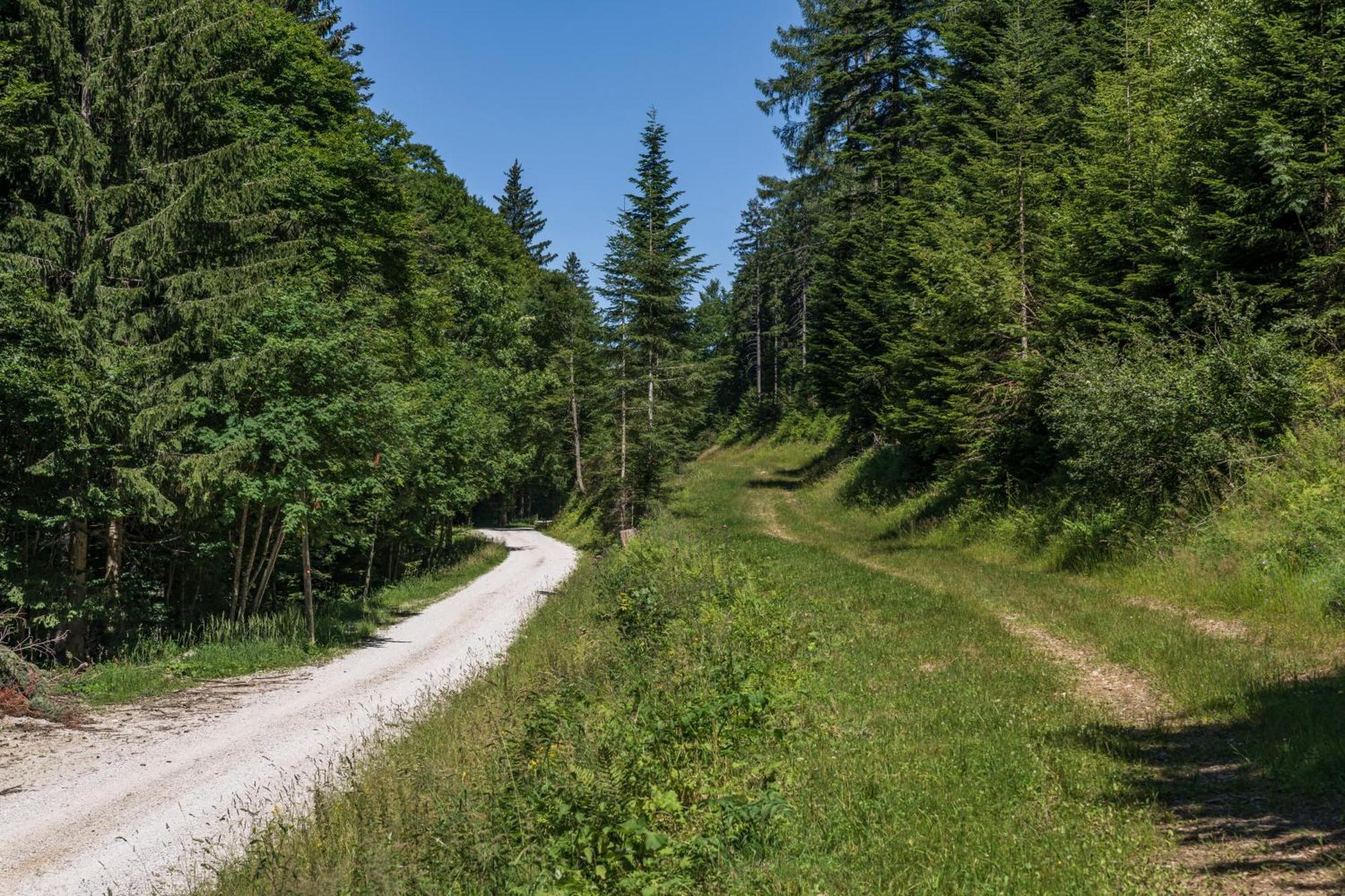 Chalet Anra Pohorje Zgornje Hoce Exterior foto